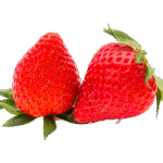 Fresh Strawberries