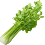 Celery-Online-in-Bangalore