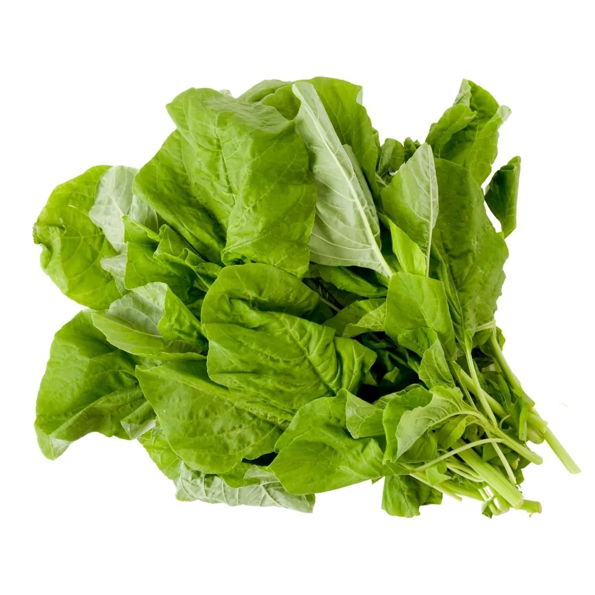 amaranthus_green Online in Bangalore Amaranthus Green Leaves Online in Bangalore
