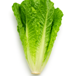 Lettuce Romaine online in Bangalore