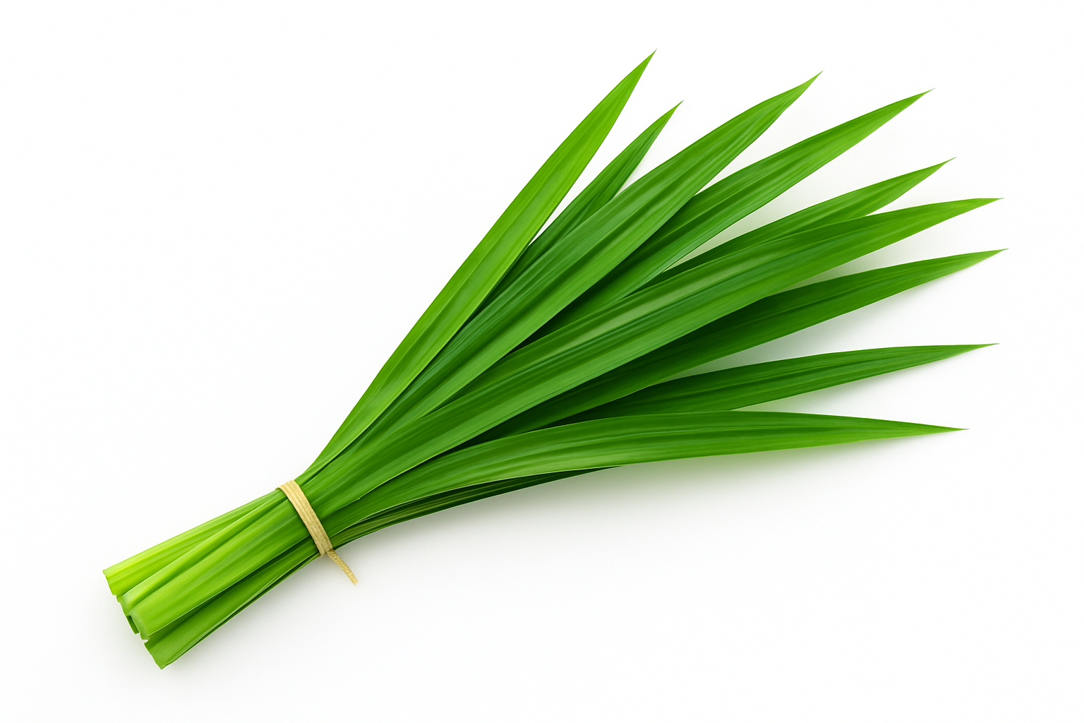 Pandan Leaves Online in Bangalore