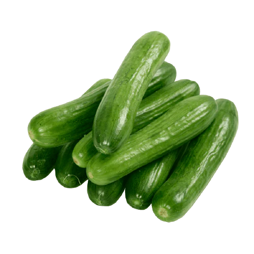 European Cucumber English Online in Bangalore European Cucumber English