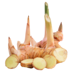 Galangal Thai Ginger Online in Bangalore