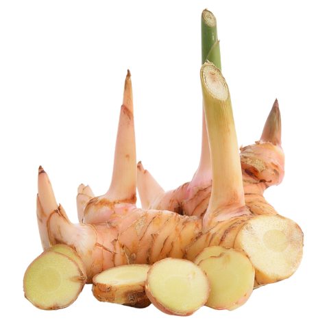 Galangal Thai Ginger Online in Bangalore