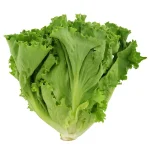 Lettuce Green online in Bangalore