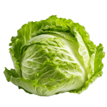 Lettuce Iceberg online in Bangalore
