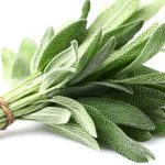 Sage online in Bangalore