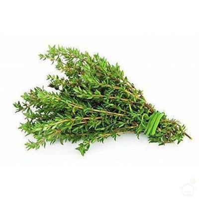 Thyme online in Bangalore Thyme online in Bangalore