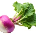 Turnip Online in Bangalore