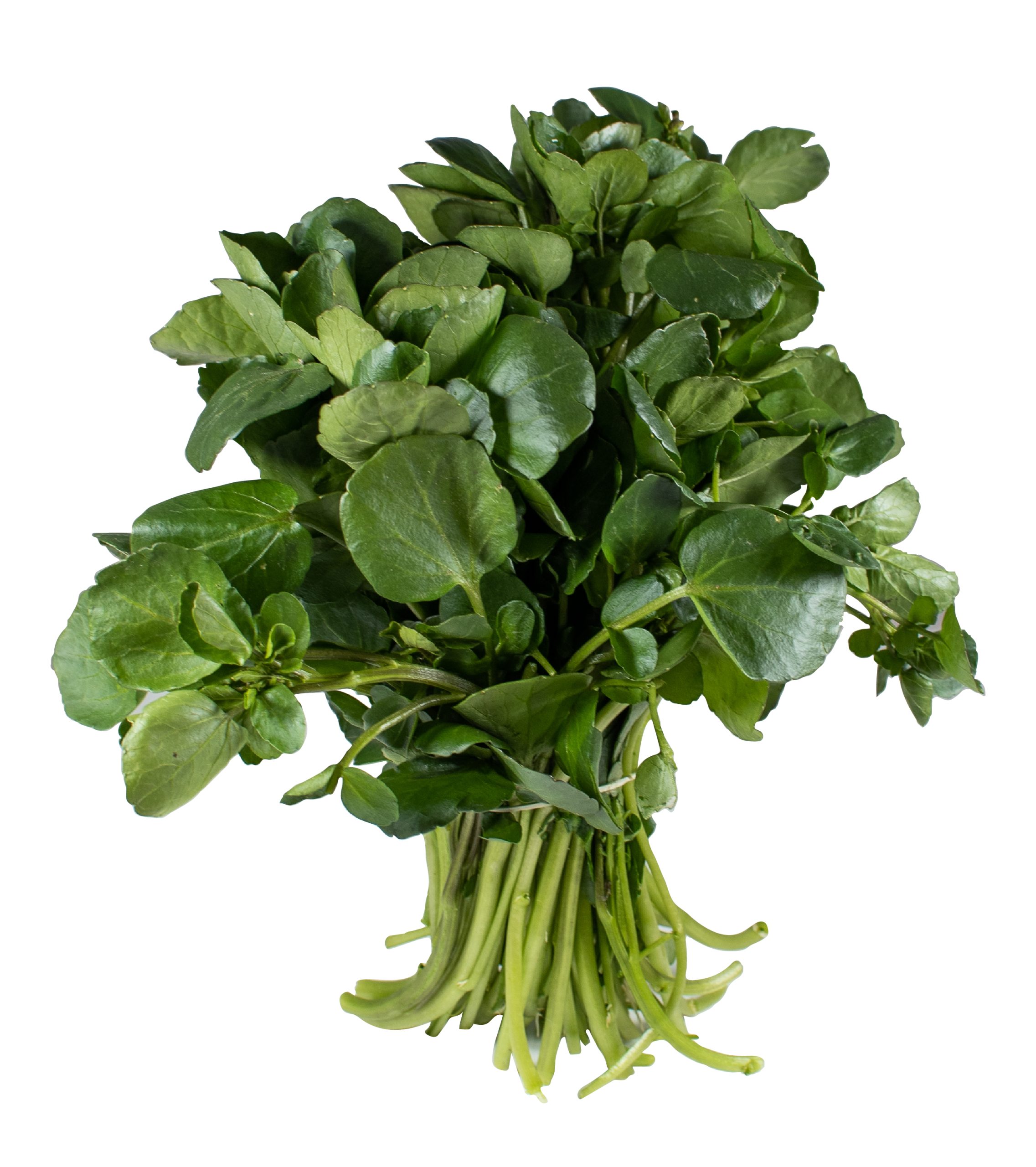 Watercress Online in Bangalore