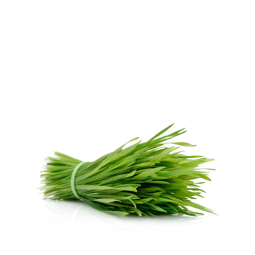 wheat grass Online in Bangalore
