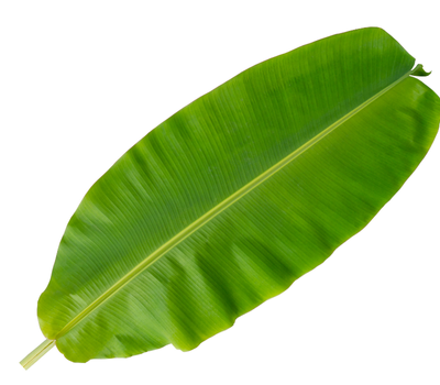 Banana Leaf online in Bangalore